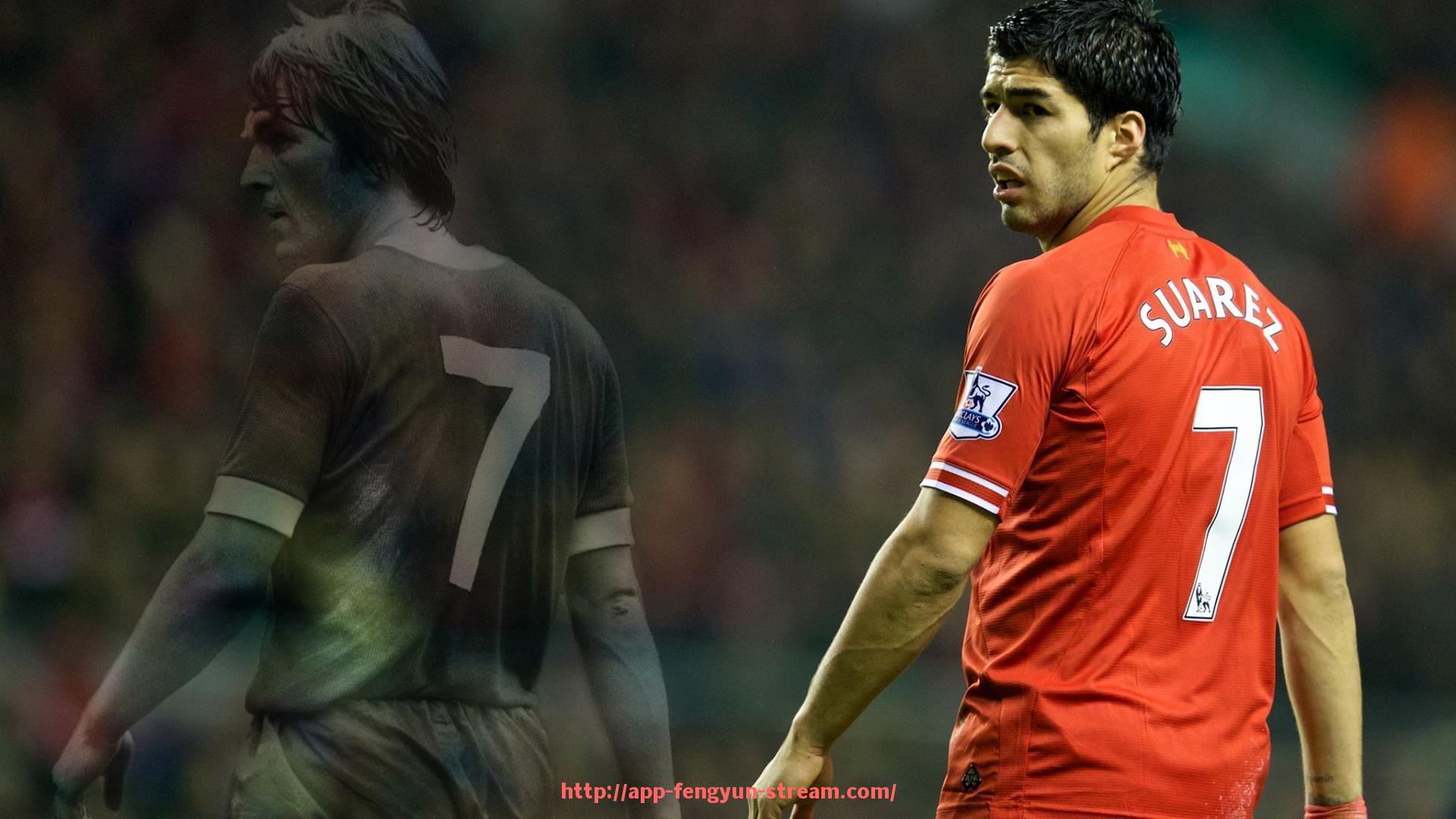 风云直播-企业购置健身器材指南：从预算配置到员工使用满意度